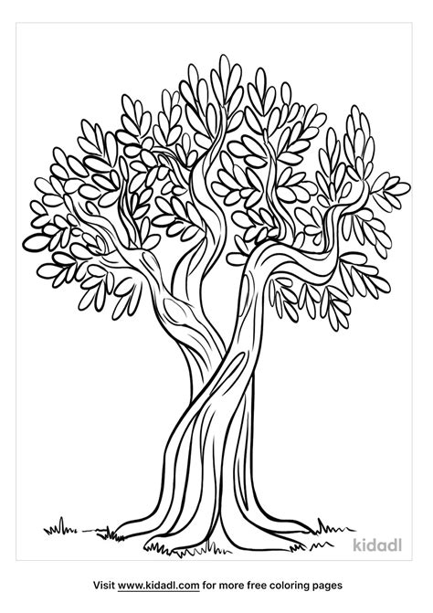 Olive Coloring Sheet Coloring Pages