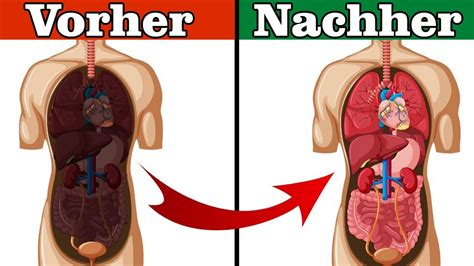 Unerwartete M Glichkeiten Um Deinen K Rper In Stunden Zu