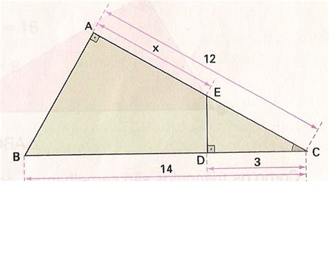Considerando A Figura Abaixo Determine A Medida X Indicada