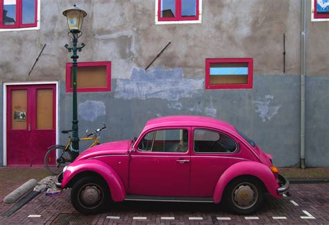 Pink Beetle - Pentax User Photo Gallery