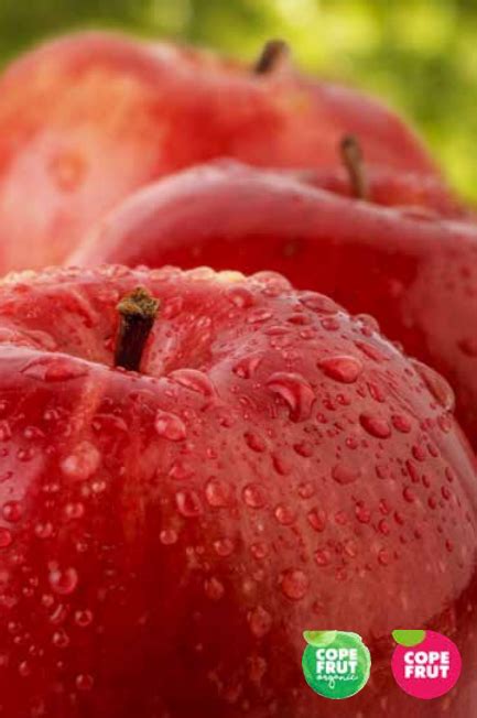 Manzanas orgánicas de Copefrut con sello CarbonNeutral