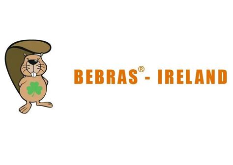 BEBRAS Challenge in St Clare’s – St Clare's Comprehensive School