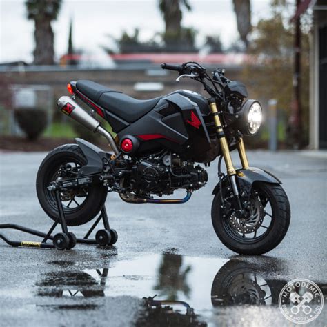 2015 Honda Grom • Motodemic