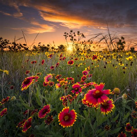 Home | Lowe Gardner Funeral Home