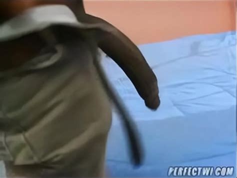 A anã e o Jumento XVIDEOS