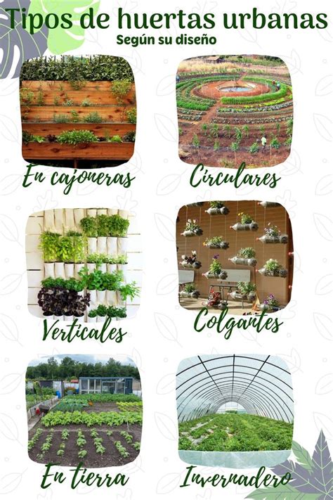 Sabías que existen diferentes tipos de huertas Pot holders Pot