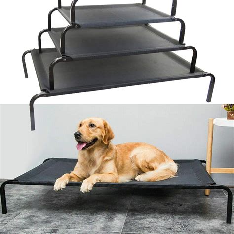 Dog Beds On Amazon.ca at Albert Phillip blog