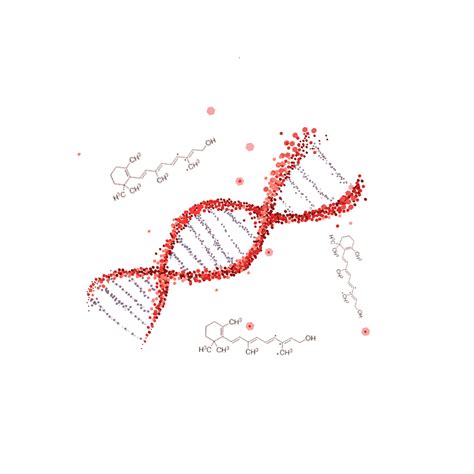 Molecular Structure Png Picture Molecular Vector Diagram Of Dna Helical Structure In Microbial