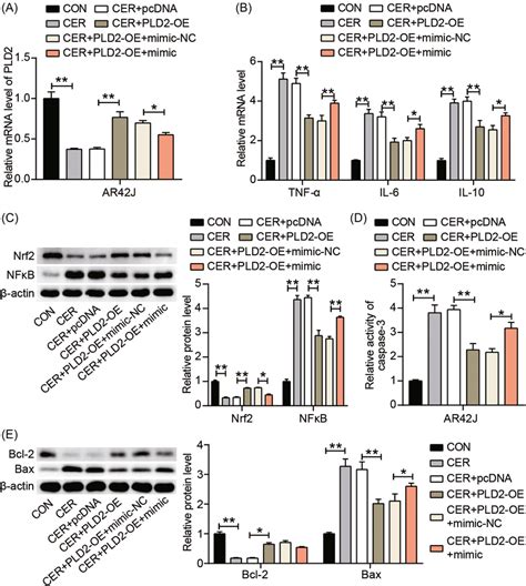 Upregulation Of MiR51325p Attenuated The Alleviating Effect Of PLD2