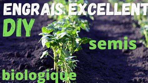 Comment Faire De L Engrais Facile Et GRATUIT Pour Le Potager Et Le