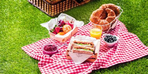 Im Eigenen Garten Picknick Machen Einen Sonnigen Tag Außen Genießen