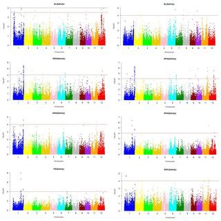 Manhattan Plots Of P Values Analyzed Using Mixed Linear Model MLM