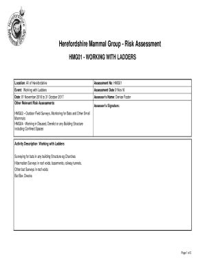 Fillable Online Btckstorage Blob Core Windows Risk Assessment Form