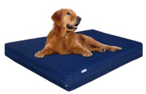 8 Best Washable Dog Beds for Reviews | Dog Bed with Washable Cover