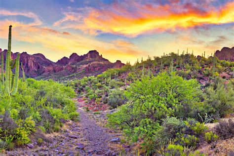 CANYON LAKE + APACHE TRAIL TOUR – usaviptours.com