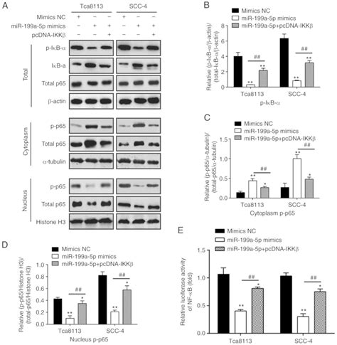 Microrna‑199a‑5p Functions As A Tumor Suppressor In Oral Squamous Cell