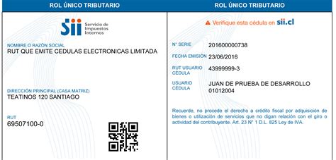 En qué consiste el e RUT que entrará en vigencia el 1 de julio