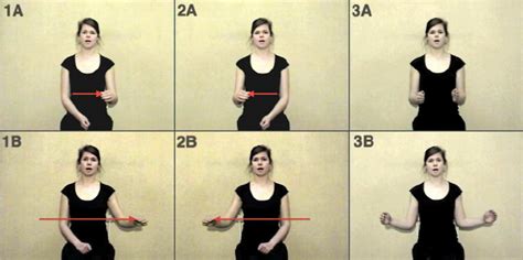 Examples Of Gestures In Experiments 1 3 Where Image A In Each Case