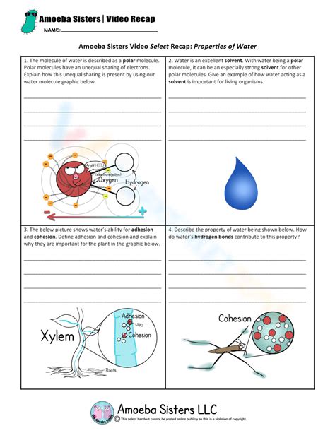 Amoeba Sisters Water Properties Worksheet Biology Worksheet Free Writing Paper Graphic