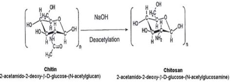 Chemical Deacetylation Of Chitin To Chitosan Download Scientific Diagram