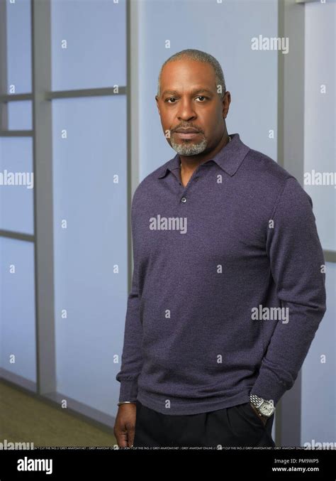 Greys Anatomy Abcs Greys Anatomy Stars James Pickens Jr As