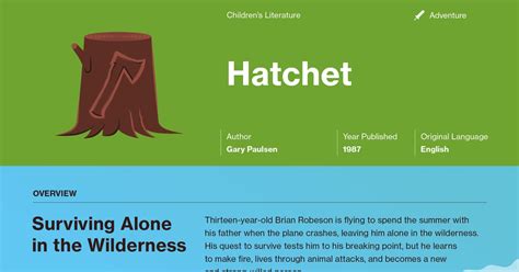 Hatchet Chapter 1 Summary Course Hero