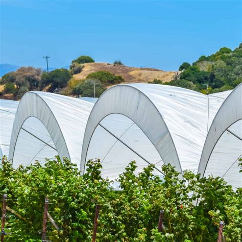 Can a Tent be Used as a Greenhouse? - Craft of Manhood