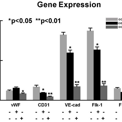 Inhibition Of Endogenous Tace Or Tnf Alpha Attenuated Endothelial