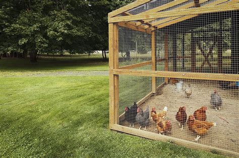 Build A Chicken Run And Coop From Recycled Materials Backyard Poultry