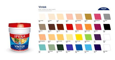 Pintura Vinílica Vintek 19 L Pinta IPESA Color Blanco 49 OFF