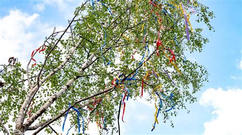 Maibaum Stürzt Auf Jungen Tirol Maibaum kracht in beliebtes TV