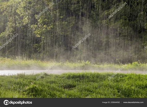 Heavy Rain Falls Road Which Haze Rises Stock Photo By ©were Photography