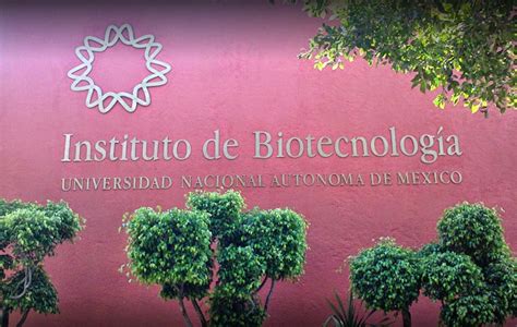 Instituto De Biotecnolog A De La Unam Se Solidariza Con Cient Ficos