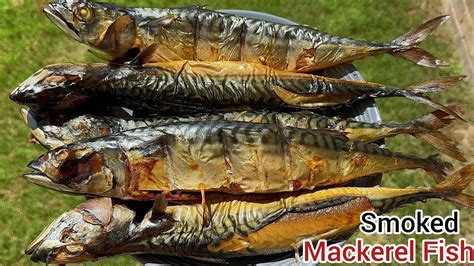 Smoked Fish How To Smoke Fish Grilled Mackerel Recipe Ghanaian