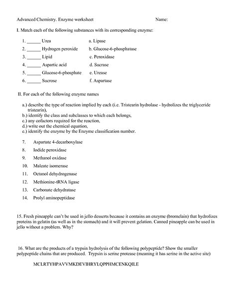 Chemical Reactions And Enzymes Worksheets