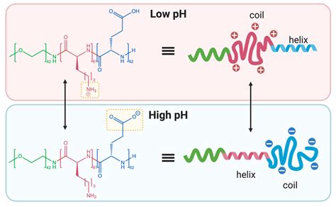 Polymers Free Full Text Strategies For The Development Of Ph