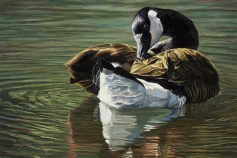 Canadian Goose Painting By Lucie Bilodeau