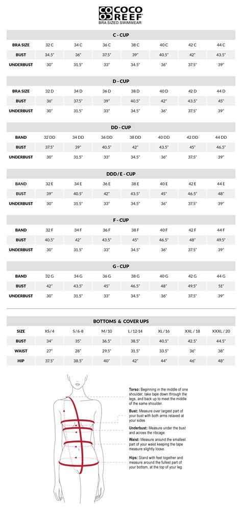 Swimsuit Size Conversion Chart Shop