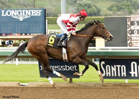 songbird breezing  latest work  santa anita paulick report