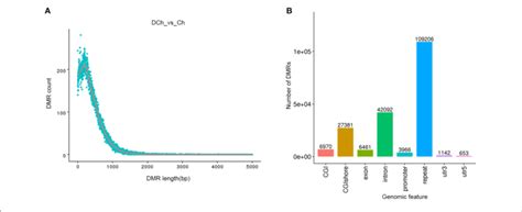 Identification And Structural Annotation Of Differentially Methylated