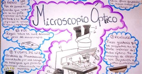 Sabrina Naveda Mapa mental del Microscopio óptico y sus partes