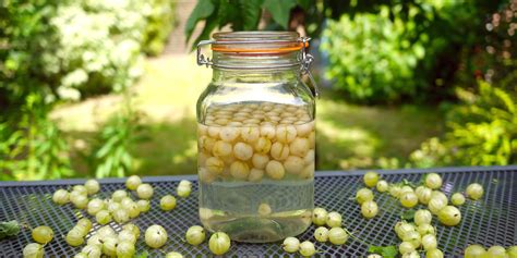 Gooseberry Gin Recipe - Great British Chefs