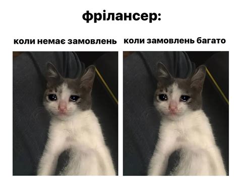 зробила мем як вайб останнього місяця:
