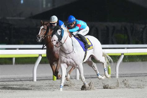 【大井競馬・東京ダービー】選定馬16頭発表 羽田盃馬は不在も2、3着馬はエントリー― スポニチ Sponichi Annex ギャンブル