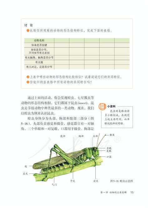 第三节 软体动物和节肢动物2013年审定人教版八年级生物上册（高清）中学课本网