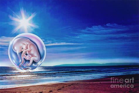 Human Foetus Over A Sunlit Seascape Photograph By John Bavosi Science