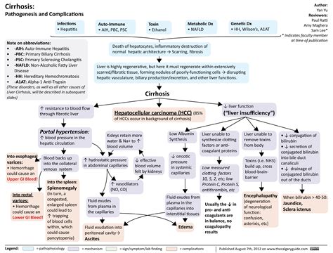 Liver Cirrhosis Flow Chart Concept Map Nursing Cirrhosis Concept Map ...