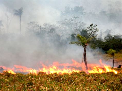 G1 RR Registra 949 Focos De Calor Ibama Descarta Risco De Grandes