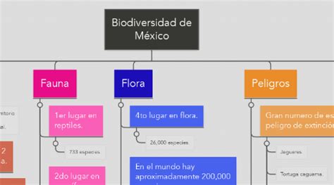 Biodiversidad De M Xico Mindmeister Mapa Mental