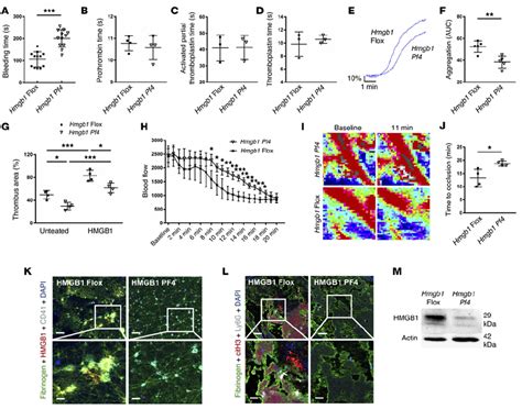 Platelet Derived Hmgb1 Promotes Platelet Aggregation And Thrombus